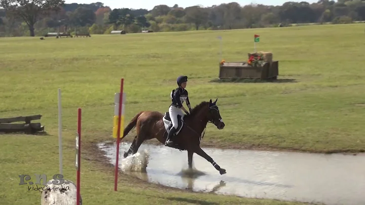 Rebecca Dyer & Fairhaven Phoenix Texas Rose Horse ...