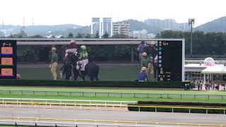 サトノフウジン 新馬戦 メイクデビュー東京 東京競馬場 現地映像