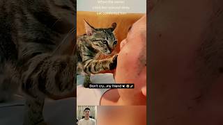 Dont Cry My Friend cat emotional respect viral