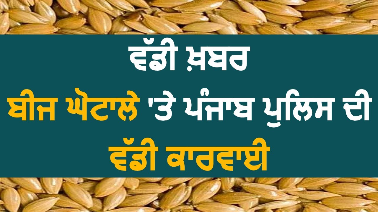 Big Breaking: Ludhiana का Brar Seeds Store सील, मालिक Arrest