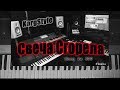 KorgStyle  -Свеча Сгорела  (Korg Pa 900) DemoVersion