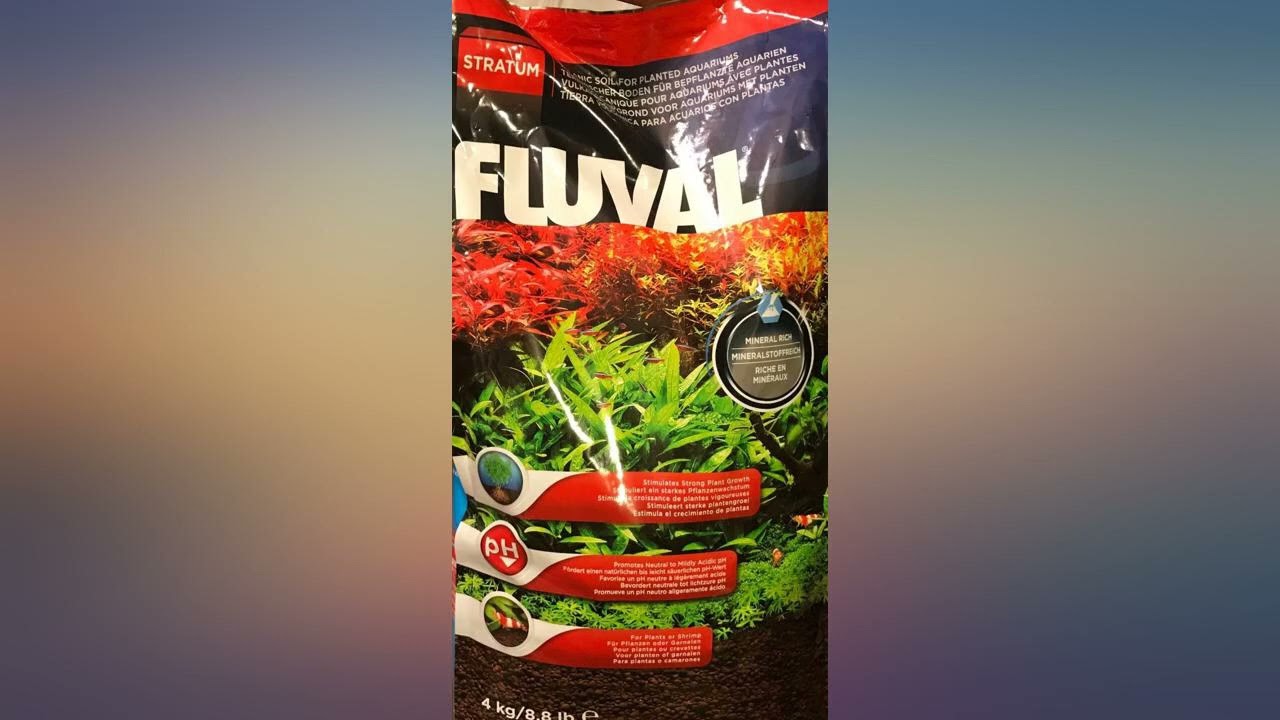 fluval stratum petco