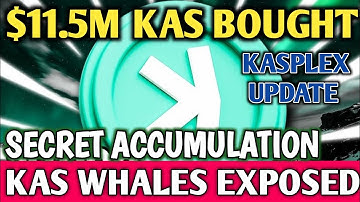 Kaspa EXPOSED:  Crypto Whales Are Buying Kaspa (Not Bitcoin) | KASPLEX SMART CONTRACT 