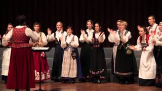 Cantus - Safari By Jan Magne Førde