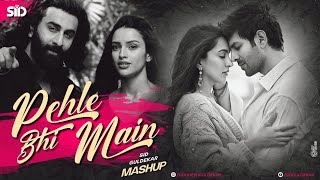 Pehle Bhi Main Mashup | Sid Guldekar | Best of Vishal Mishra | Best of 2023 Mashup | Animal Songs