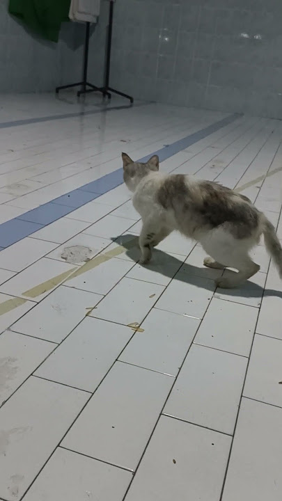 Ojo sms ae,senang Melihat aku Susah, Susah Melihat aku Senang!