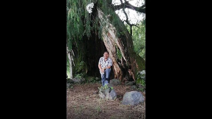PASEANDO POR EL CAMPO