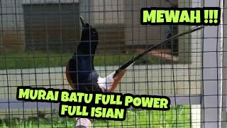 MURAI BATU GACOR FULL ISIAN POWER FULL DAN SUPER FIGHTER
