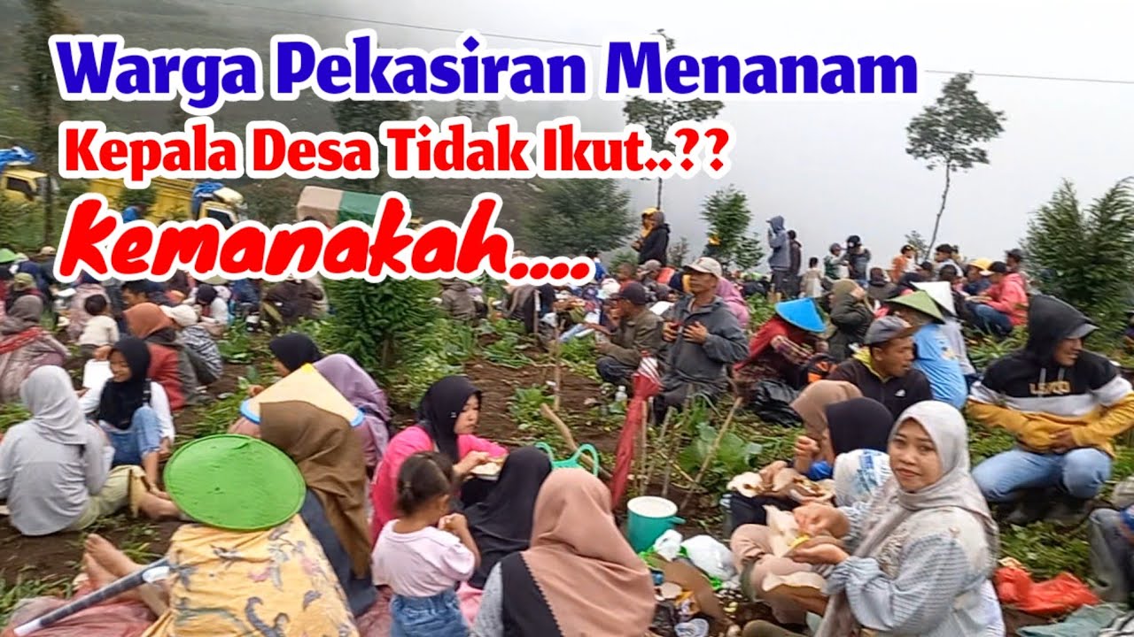 Warga Pekasiran Tua Muda Ikut Tanam Pohon di Hutan Lindung‼️Kemana Kepala Desa Tidak Ikut