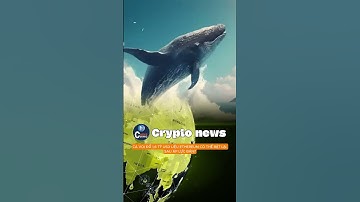 Cá voi đổ 1,6 tỷ USD: Liệu Ethereum có thể bật lại sau áp lực bán?