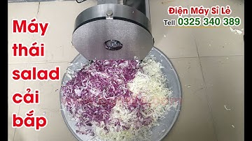 Máy xắt- cắt- thái - bào sợi rau cải bắp, bắp sú để làm nộm, salad, rau trộn