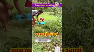 ઘાસ વાઢવાનું મશીન આવ્યું 🤩 ગાયો ભેંસો માટે સારું મશીન #facts #ytshorts #cow #ગાય #shorts #shortvideo
