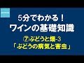 5分でわかる！​ワインの基礎知識​ ⑦ぶどうと畑-3 ぶどうの病気と害虫 8分44秒 サントリー