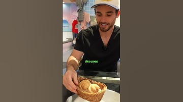 I Visited The Poop Restaurant