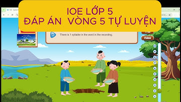 Đáp án IOE lớp 5 Tự luyện Vòng 5 (2025-2026)