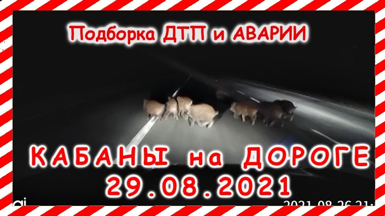 Аварии на видеорегистратор август 2025. Аварии на видеорегистратор август 2025
