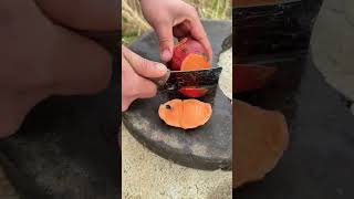 G1700270610651 Mini Rotary Tillage And Ridging All - In One Tree Shortview