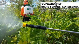 Борщевойны 2  Тихие убийцы борщевика