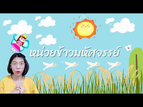 คำคล้องจอง​ หน่วยข้าว​มหัศจรรย์​