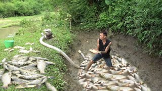 TOP 1 Great Fishing Videos, Survival Bushcraft Build Fish Traps Catch Big Fish - Survival Techniques