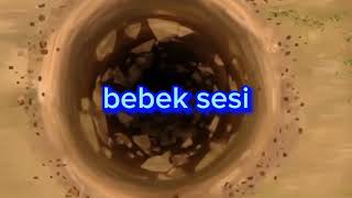 15 Farklı Ses Efektiyle Hayri Burdan Başlıyor Ve Dünyanın Öbür Tarafına Açılıyor