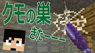 【カズクラ】遂にクモの巣がキター！マイクラ実況 PART625