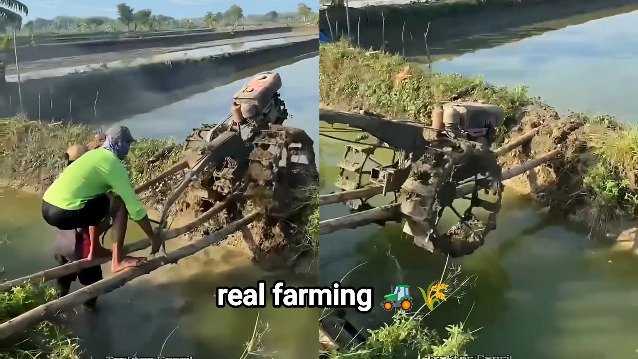 Tractor Almost Sinks in Flooded Rice Field! Real farming