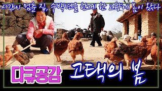 다큐공감 고택(古宅)의 봄 [김비서 외전] KBS 2014.4.1 방송