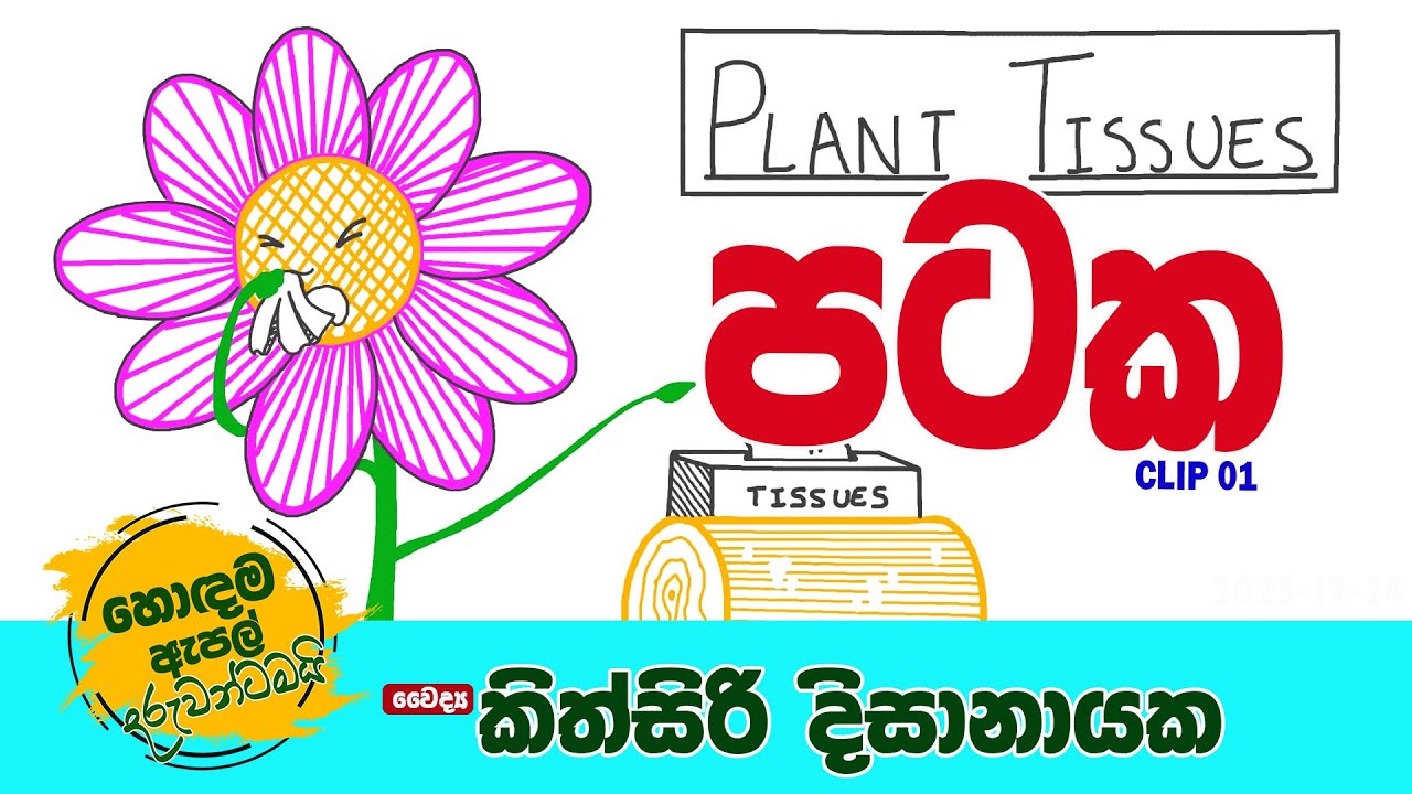 GRADE 11 SCIENCE - 1st LESSON 2026
