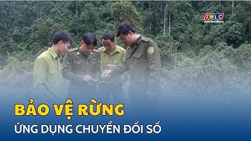 Ứng dụng chuyển đối số trong quản lý, bảo vệ rừng | THLC