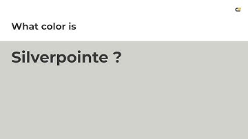 Silverpointe color #d1d2cb hex color - Grey color - Cool color d1d2cb