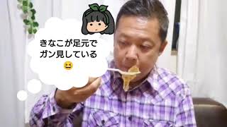 山口敏太郎の食いしん坊　博多座のわらび餅