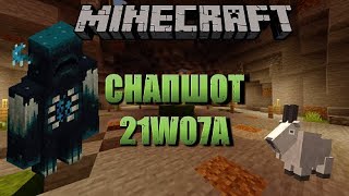 21W07A | Minecraft Snaphot 21w07a  |1.17 snapshot