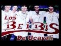 Los beibis de la cumbia   sin hogar primicia exclusiva 2013 