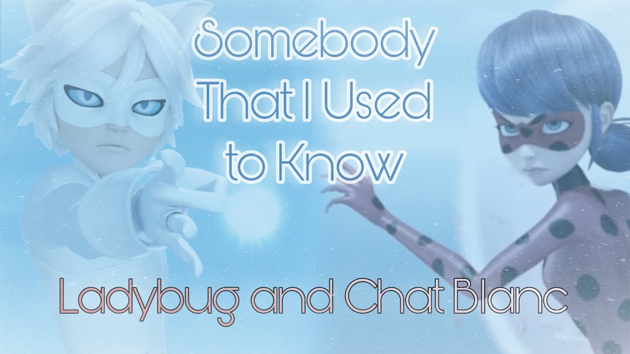 ladybug and chat blanc amv // somebody that i used to know // miraculous ladybug