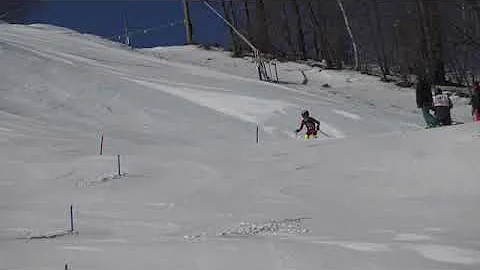 Harry - Willard SL 3/1/20