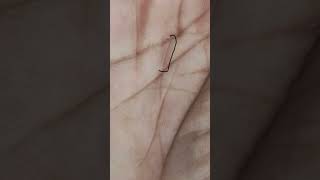 কখন আপনি অর্থ উপার্জন করবেন#viral #viralvideos #viralreels #palmistry #bangla #vlog