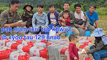 Pab niam txiv tub khwv2 ib xyoo no tau kiag 129 hnab nplej lawm zoo siab heev 