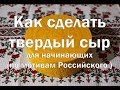 Твердый сыр по аналогу Российского  Рецепт для начинающих  Hard cheese by analogy of Russian .