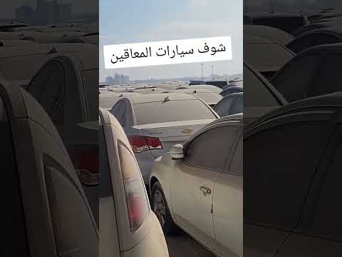 سيارات المعاقين بتصبح على اصحابها بعد ما حالها بقى بيتكلم عن مالها