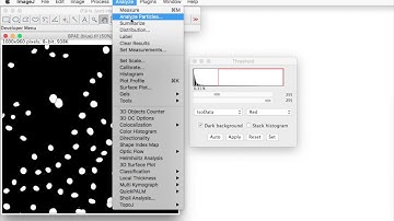 FIJI for Quantification: Nuclei Counting