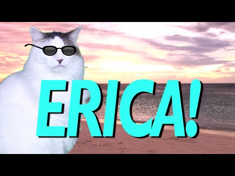 happy-birthday-erica!---epic-cat-happy-birthday-song