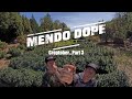 Croptober part 3  the mendo dope project season 2