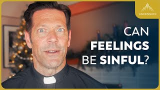 Sin Emotions And Virtue Explained w Fr Mike Schmitz