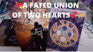 💘A FATED UNION OF TWO HEARTS💕✨IT'S THE LITTLE THINGS THAT MAKE IT MAGICAL!✨🪄COLLECTIVE LOVE TAROT ✨