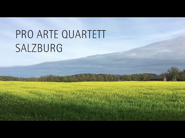 Mozart - Quatuor à cordes n°22 "Prussien":1er mvt : Quatuor Jerusalem