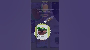 Website Development Services | UI UX Design | eCommerce Website Design | Go To Clan  #ecommerce