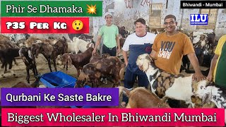 Biggest Wholesaler In Bhiwandi Phir Blast💥 ?35/- Per Kg Lo Aur Shouk Karo || Ali Goat Farm Mumbai ||