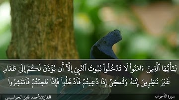 الصفحة 425 سورة الأحزاب القارئ المهندس أحمد فايز الحراسيس