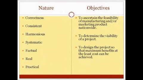 Project Feasibility Study Report